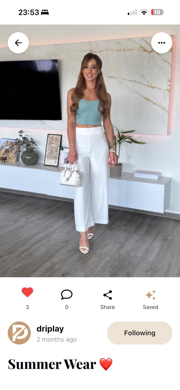 A Drip: the outfit photo, its likes and saves, the person who posted it